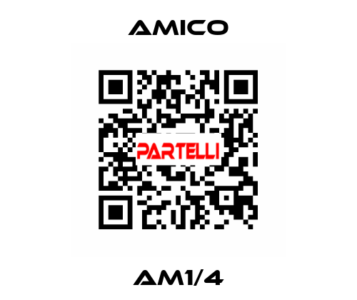 AM1/4 AMICO