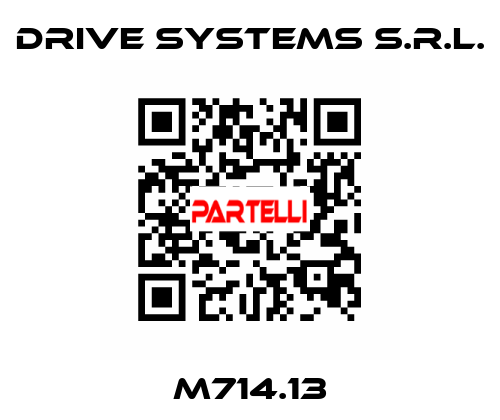 M714.13 DRIVE SYSTEMS s.r.l.