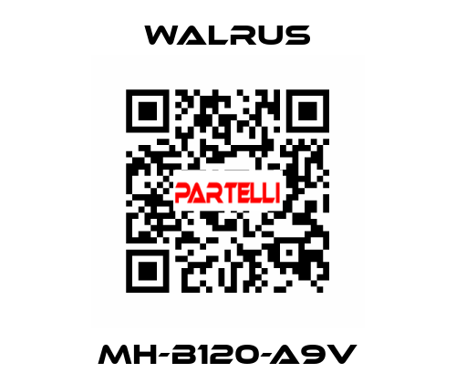 MH-B120-A9V Walrus