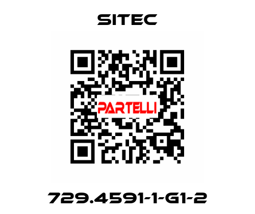 729.4591-1-G1-2 SITEC