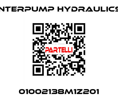 01002138M1Z201 Interpump hydraulics