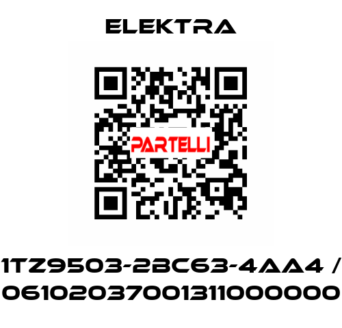 1TZ9503-2BC63-4AA4 / 06102037001311000000 ELEKTRA