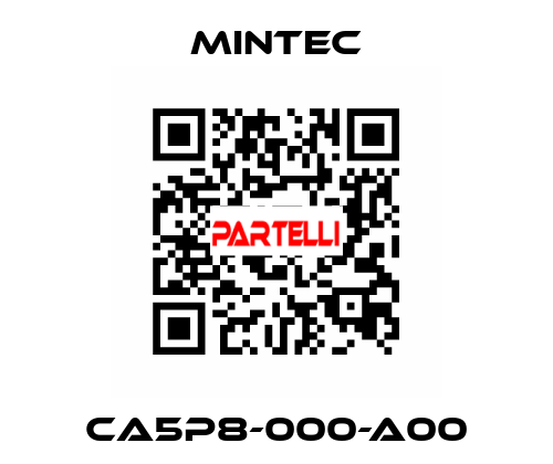 CA5P8-000-A00 MINTEC