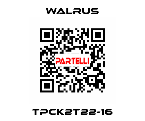 TPCK2T22-16 Walrus