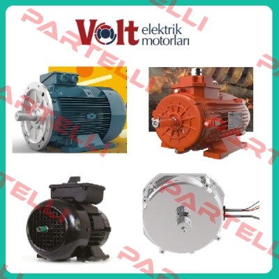 V3 EA 100L 4HB3YY Volt Elektrik Motor