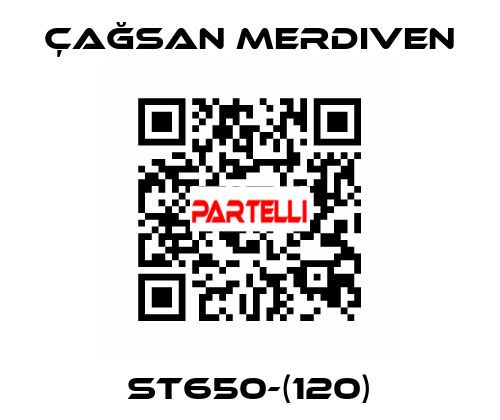 ST650-(120) Çağsan Merdiven