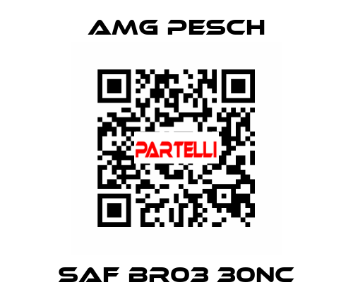 SAF BR03 30NC AMG Pesch