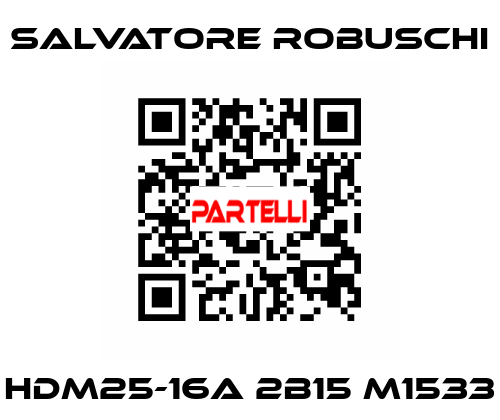 HDM25-16A 2B15 M1533 SALVATORE ROBUSCHI