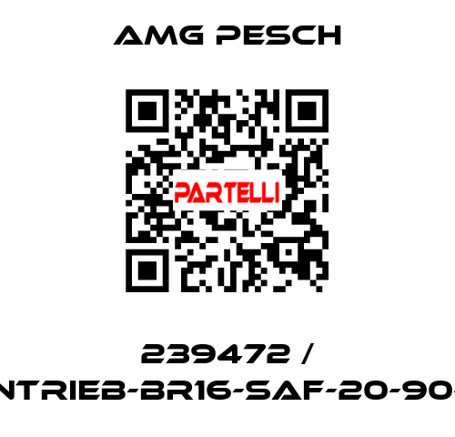 239472 / AMG-Antrieb-BR16-SAF-20-90-01-n=12 AMG Pesch