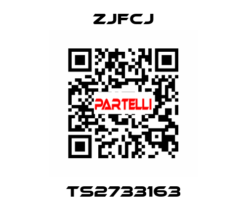 TS2733163 ZJFCJ