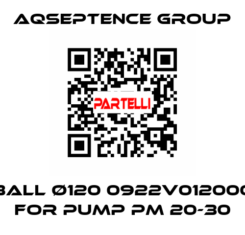 BALL ø120 0922V012000 FOR PUMP PM 20-30 AQSEPTENCE GROUP