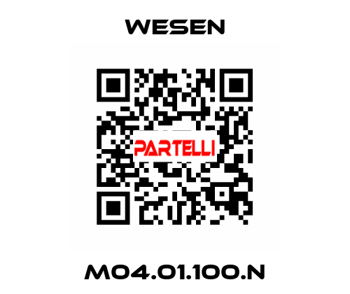 M04.01.100.N WESEN