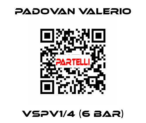 VSPV1/4 (6 bar) PADOVAN VALERIO