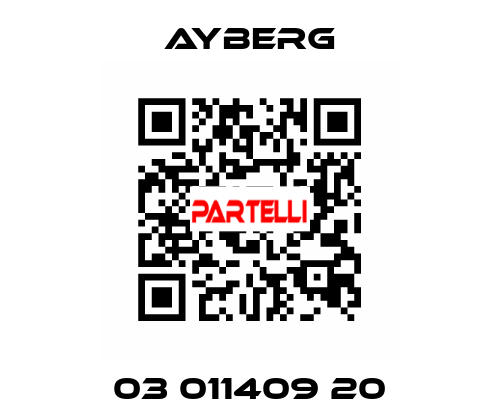 03 011409 20 ayberg