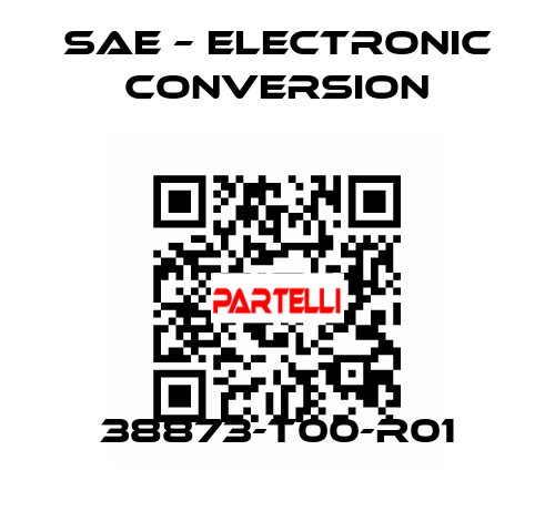 38873-T00-R01 SAE – Electronic Conversion