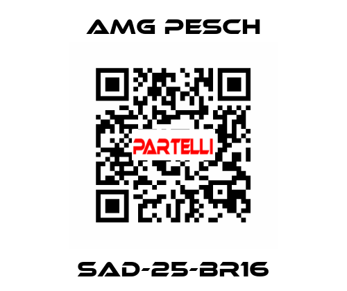 SAD-25-BR16 AMG Pesch