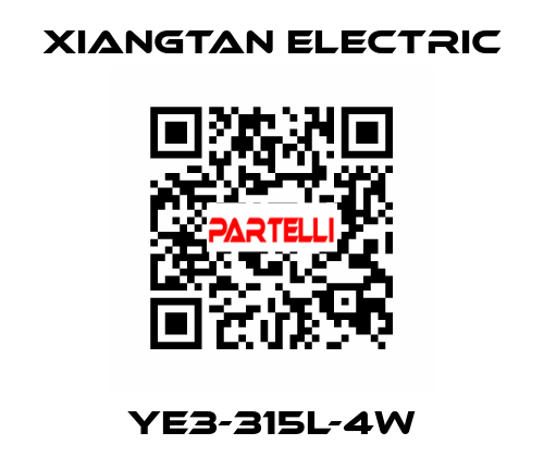 YE3-315L-4W Xiangtan Electric