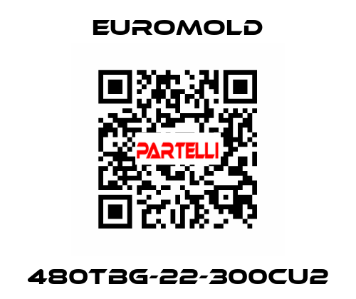 480TBG-22-300CU2 EUROMOLD