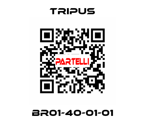 BR01-40-01-01 Tripus