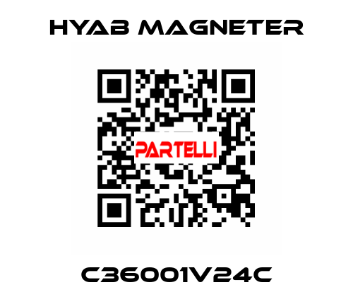 C36001V24C Hyab Magneter