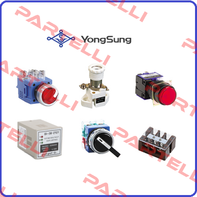 MY03-4P240ASL YongSung Electric