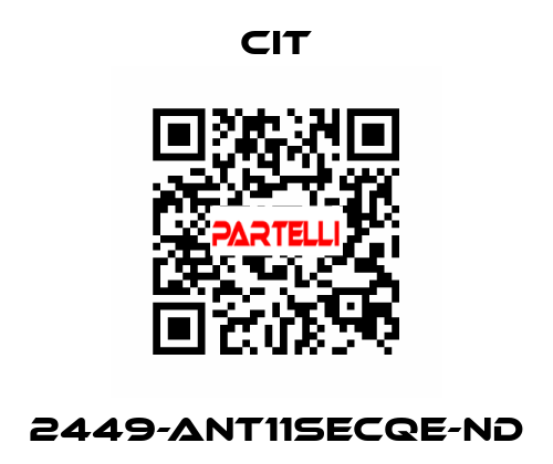 2449-ANT11SECQE-ND CIT