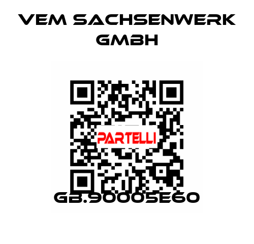 GB.90005E60 VEM Sachsenwerk GmbH