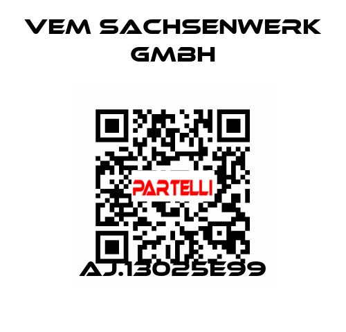 AJ.13025E99 VEM Sachsenwerk GmbH