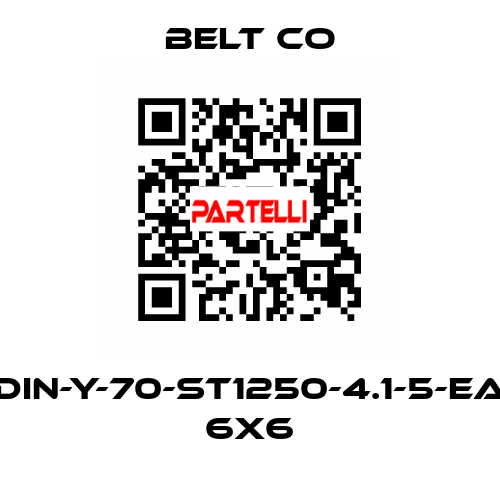 DIN-Y-70-ST1250-4.1-5-EA 6X6 BELT CO