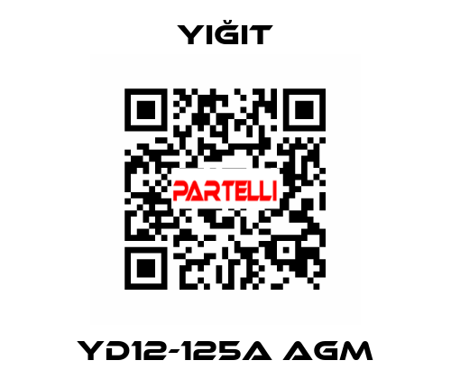 YD12-125A AGM Yiğit
