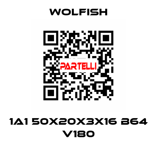 1A1 50X20X3X16 B64 V180 Wolfish