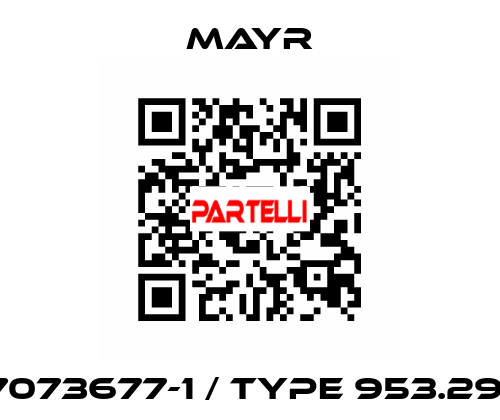 7073677-1 / Type 953.291 Mayr