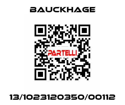 13/1023120350/00112 Bauckhage