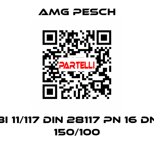 BI 11/117 DIN 28117 PN 16 DN 150/100 AMG Pesch