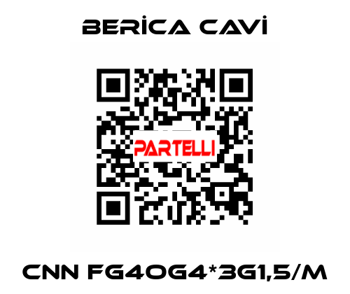 CNN FG4OG4*3G1,5/M BERİCA CAVİ