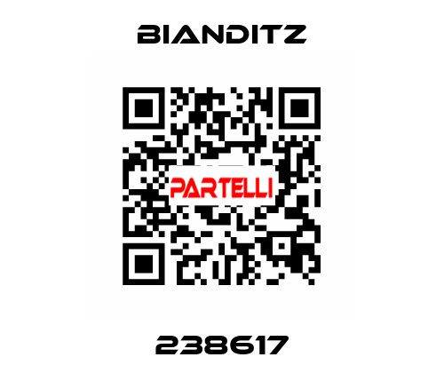 238617 Bianditz