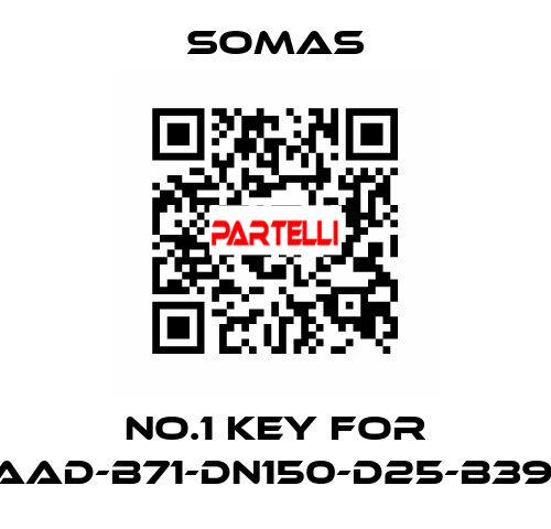 No.1 key for VSS-A5-AAD-B71-DN150-D25-B39-PN10-25 SOMAS