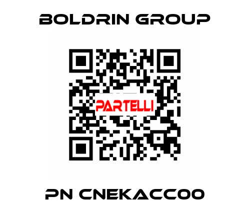pn CNEKACC00 Boldrin Group