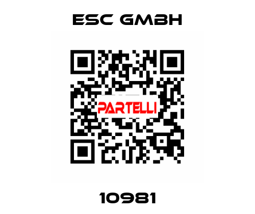 10981 ESC GmbH