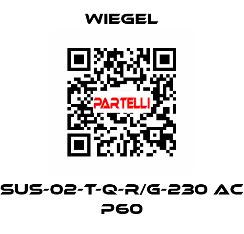 SUS-02-T-Q-R/G-230 AC P60 wiegel