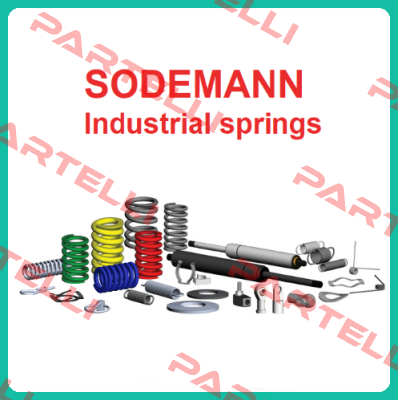 C06000631750M Sodemann