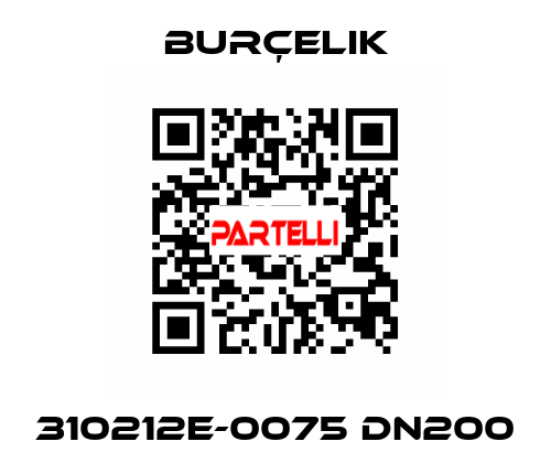 310212E-0075 DN200 Burçelik
