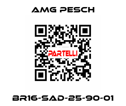 BR16-SAD-25-90-01 AMG Pesch