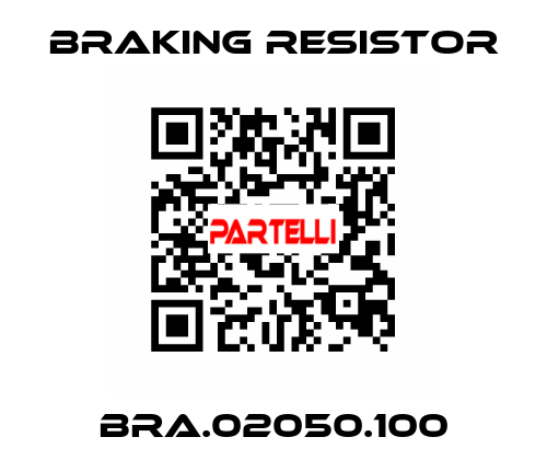 BRA.02050.100 BRAKING RESISTOR