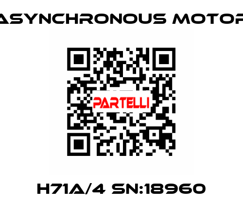 H71A/4 SN:18960 ASYNCHRONOUS MOTOR