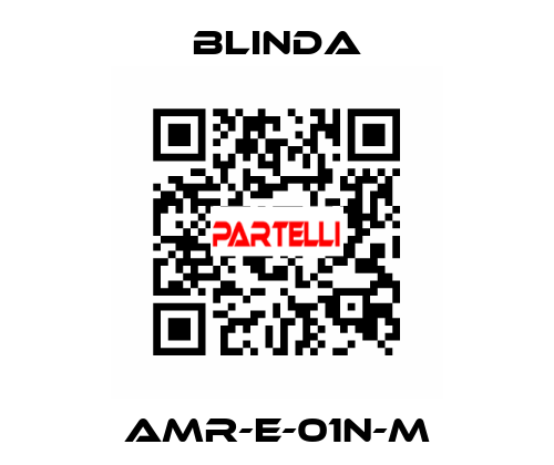 AMR-E-01N-M BLINDA