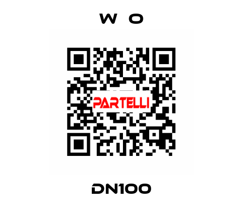 DN100 W＆O
