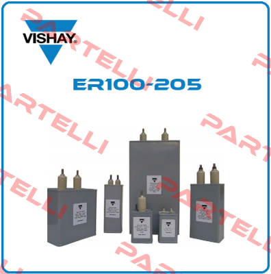 ER100-205 Vishay