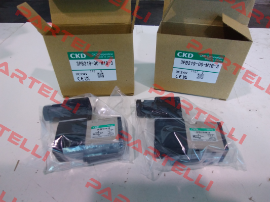 3PB219-00-M1B-3 Ckd