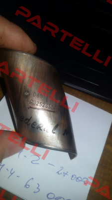 PG 252850 F  Federal Mogul